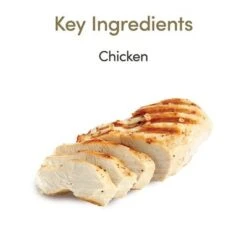 70g Applaws Mousse 16 70g Applaws Mousse -EUKANUBA Shop 106602 applaws cat wet huhnchen hs 02 5