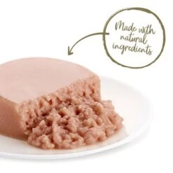 70g Applaws Mousse 21 70g Applaws Mousse -EUKANUBA Shop 106604 applaws cat wet thunfisch hs 03 3