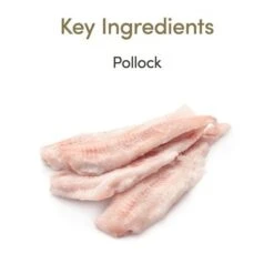 Applaws Cat Food 70g In Gravy – Grain-Free -EUKANUBA Shop 106606 applaws grainfree gravy pollack hs 02 1