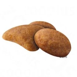 Royal Canin Savour Exigent -EUKANUBA Shop 10672 rc krokette 1