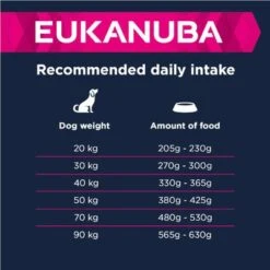 Eukanuba Large Breed Adult - Lamb & Rice -EUKANUBA Shop 135797 eukanuba adult large breed lamm reis feeding 3 9