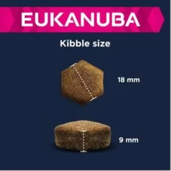 Eukanuba Large Breed Adult - Lamb & Rice -EUKANUBA Shop 135797 eukanuba adult large breed lamm reis kibble 4 2