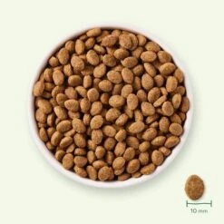 Yarrah Organic Senior Organic Chicken -EUKANUBA Shop 158998 yarrah bio senior hundebrocken huhn 10kg hs 03 2