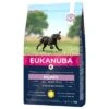 Eukanuba Puppy Large Breed Chicken -EUKANUBA Shop 162903 pla tetragmbhiams eukanuba puppy largebreed huhn dog 3kg hs 01 3