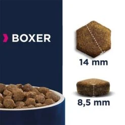 Eukanuba Boxer Adult -EUKANUBA Shop 169899 tetragmbhiams eukanuba adult breedspecific boxer 12kg hs 04 6