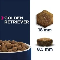 Eukanuba Golden Retriever Adult -EUKANUBA Shop 170005 tetragmbhiams eukanuba adult breedspecific goldenretriever 12kg hs 05 8