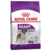 Royal Canin Giant Adult -EUKANUBA Shop 1 80636 pla royalcanin giantadult 15kg hs 01 8