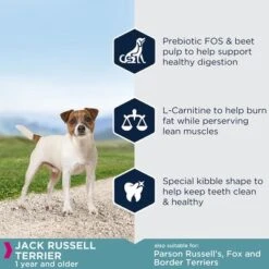 Eukanuba Jack Russell Terrier Adult -EUKANUBA Shop 1 8710255120454 5