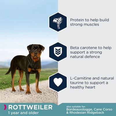 Eukanuba Rottweiler Adult 6 Eukanuba Rottweiler Adult - Image 4