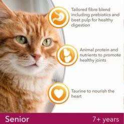 IAMS For Vitality Senior Fresh Chicken Dry Cat Food -EUKANUBA Shop 1 8710255127859 2
