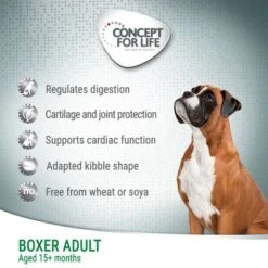 Concept For Life Boxer Adult -EUKANUBA Shop 1 cfl board dog boxer 2