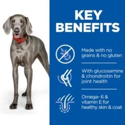 Hill's Science Plan Hill’s Science Plan Adult 1-5 No Grain Large Grain With Chicken -EUKANUBA Shop 1 sp no grain dog adult large chicken key benefits 5