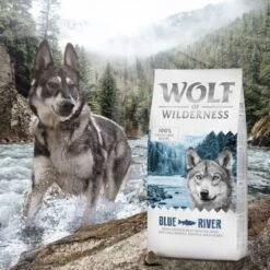 Wolf Of Wilderness Adult "Blue River" - Salmon -EUKANUBA Shop 1 wow classic blue river 12kg 7 1 3