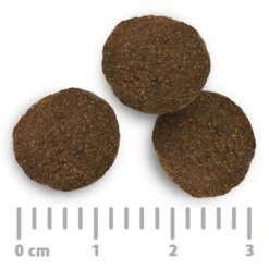 Purizon Fish Adult – Grain-free -EUKANUBA Shop 2020 08 purizon food size 1000x1000 int 9 3