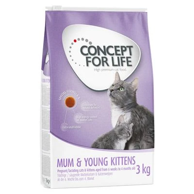 Concept For Life Mum & Young Kittens