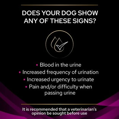 Purina Pro Plan Veterinary Diets Canine UR Urinary 7 Purina Pro Plan Veterinary Diets Canine UR Urinary - Image 5