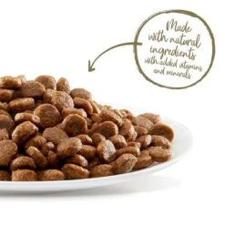 Applaws Chicken & Salmon Cat Food -EUKANUBA Shop 26663 applaws cat adult huhnlachs 400g hs 04 1