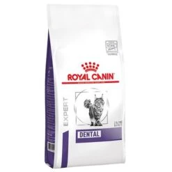 Royal Canin Expert Dental Cat