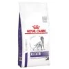 Royal Canin Expert Canine Dental -EUKANUBA Shop 284805 pla royalcanin veterinary canine dental kg hs 01 5