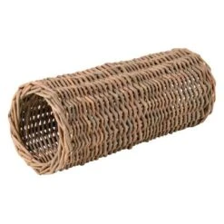 Trixie Willow Tunnel