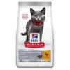 Hill's Science Plan Hill’s Science Plan Sterilised Kitten Chicken 1 Hill's Science Plan Hill’s Science Plan Sterilised Kitten Chicken -EUKANUBA Shop 296896 297001 297296 297297 pla hills scienceplan sterilised kitten huhn hs 01 0