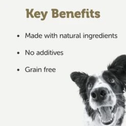 Applaws Taste Toppers Mixed Pack 8 X 156g -EUKANUBA Shop 371598 applaws taste toppers jelly probiermix 8x156g hs 3 1 3