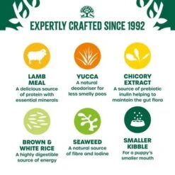 James Wellbeloved Puppy – Lamb & Rice -EUKANUBA Shop 401686 si01 f b uk 0