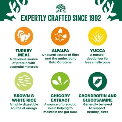 James Wellbeloved Senior - Turkey & Rice 6 James Wellbeloved Senior - Turkey & Rice - Image 4