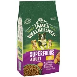 James Wellbeloved Adult Superfoods - Lamb With Potato & Chia