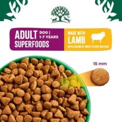 James Wellbeloved Adult Superfoods - Lamb With Potato & Chia -EUKANUBA Shop 425795 si02 foodshot 8