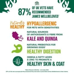 James Wellbeloved Adult Superfoods - Turkey With Kale & Quinoa 20 James Wellbeloved Adult Superfoods - Turkey With Kale & Quinoa -EUKANUBA Shop 425800 si05 uk 1