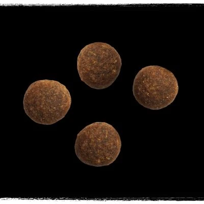 CRAVE Adult Turkey & Chicken Dry Dog Food 6 CRAVE Adult Turkey & Chicken Dry Dog Food - Image 4