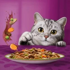 Whiskas 1+ Tasty Mix Chef's Choice In Gravy -EUKANUBA Shop 443679 si02 foodshot 2