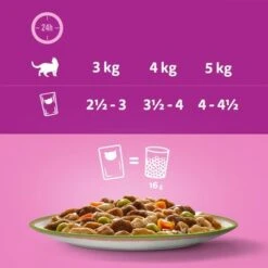 Whiskas 1+ Tasty Mix Chef's Choice In Gravy -EUKANUBA Shop 443679 si03 feeding 4