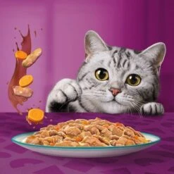 Whiskas 1+ Tasty Mix Catch Of The Day In Gravy 17 Whiskas 1+ Tasty Mix Catch Of The Day In Gravy -EUKANUBA Shop 443706 si02 foodshot 6