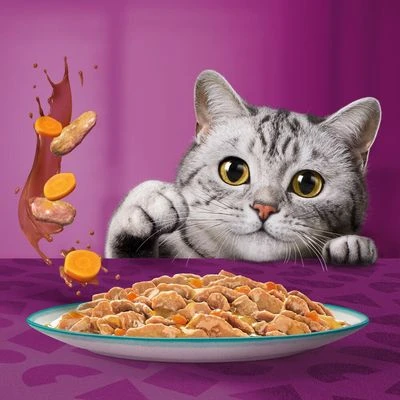 Whiskas 1+ Tasty Mix Catch Of The Day In Gravy 9 Whiskas 1+ Tasty Mix Catch Of The Day In Gravy - Image 7