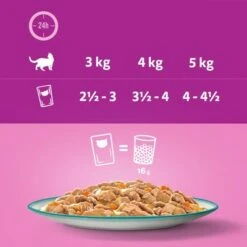 Whiskas 1+ Tasty Mix Catch Of The Day In Gravy 15 Whiskas 1+ Tasty Mix Catch Of The Day In Gravy -EUKANUBA Shop 443706 si03 feeding 1