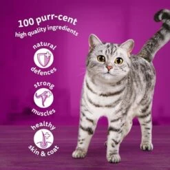 Whiskas 1+ Poultry Feasts In Jelly -EUKANUBA Shop 443745 si01 f b uk 9