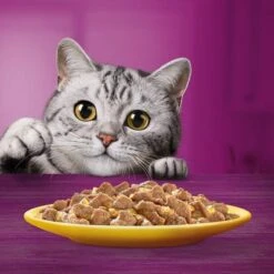 Whiskas 1+ Poultry Feasts In Jelly -EUKANUBA Shop 443745 si02 foodshot 0