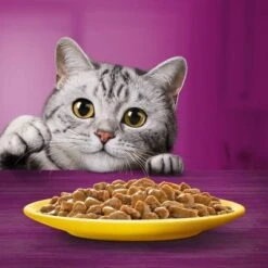 Whiskas 1+ Poultry Feasts In Gravy 21 Whiskas 1+ Poultry Feasts In Gravy -EUKANUBA Shop 449065 si02 foodshot 3