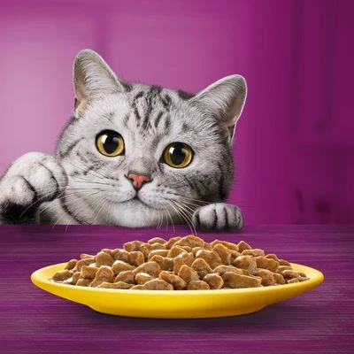 Whiskas 1+ Poultry Feasts In Gravy 12 Whiskas 1+ Poultry Feasts In Gravy - Image 10