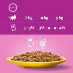 Whiskas 1+ Poultry Feasts In Gravy 17 Whiskas 1+ Poultry Feasts In Gravy -EUKANUBA Shop 449065 si03 feeding 8