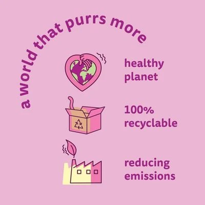 Whiskas 1+ Poultry Feasts In Gravy 10 Whiskas 1+ Poultry Feasts In Gravy - Image 8