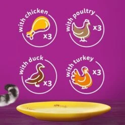 Whiskas 1+ Poultry Feasts In Gravy 14 Whiskas 1+ Poultry Feasts In Gravy -EUKANUBA Shop 449065 si06 uk 1