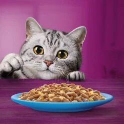 Whiskas 1+ Fish Favourites In Jelly 17 Whiskas 1+ Fish Favourites In Jelly -EUKANUBA Shop 449067 si02 foodshot 2