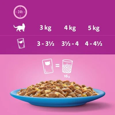 Whiskas 1+ Fish Favourites In Jelly 7 Whiskas 1+ Fish Favourites In Jelly - Image 5