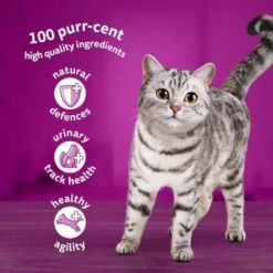 Whiskas 7+ Senior Pouches In Jelly -EUKANUBA Shop 449074 si01 f b uk 4