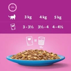 Whiskas 7+ Senior Pouches In Jelly -EUKANUBA Shop 449074 si03 feeding 0