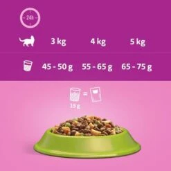 Whiskas 1+ Lamb -EUKANUBA Shop 449240 si03 feeding 6