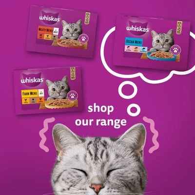 Whiskas 1+ Cans 12 X 400g 11 Whiskas 1+ Cans 12 X 400g - Image 9